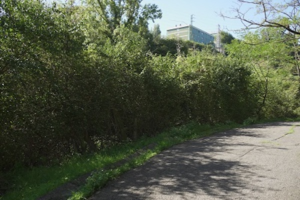Santurtzi arreglará el camino que une la calle Bullón con la residencia Nuestra Señora de Begoña