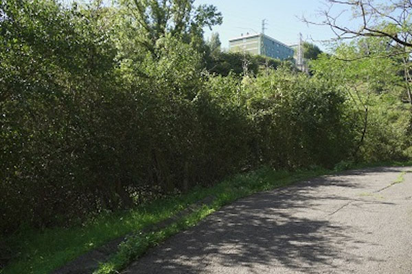 Santurtzi arreglará el camino que une la calle Bullón con la residencia Nuestra Señora de Begoña