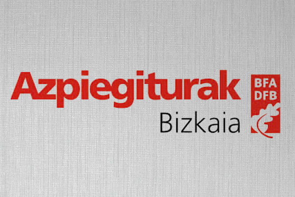 Adjudicación en Bizkaia: rehabilitación de la cubierta del Frontón Bizkaia