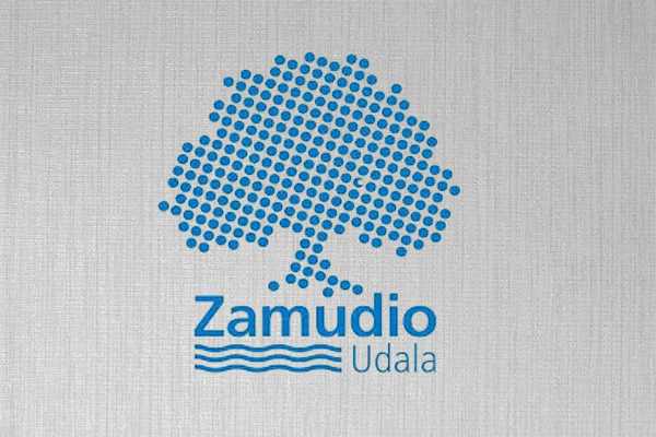 Concurso en Bizkaia: obras de reforma de la urbanización de la calle Arbolantxa