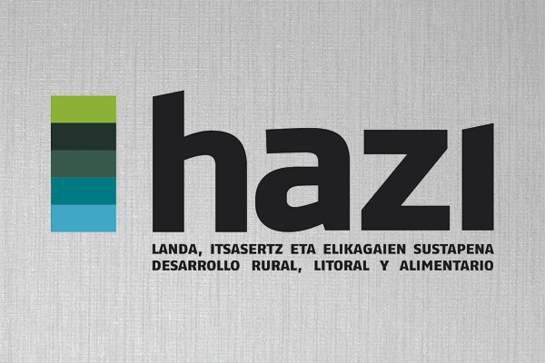 Adjudicación en Gipuzkoa: reparación de la cubierta de un edificio en Oñati