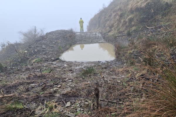 URA y Ziortza – Bolibar restauran una parcela de la cabecera del río Markola