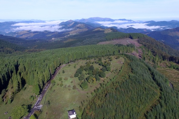 Bizkaia otorga 4,1 millones para mejorar los montes de 69 municipios