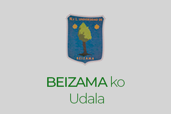 Concurso en Gipuzkoa: reforma de la planta segunda del Ayuntamiento de Beizama